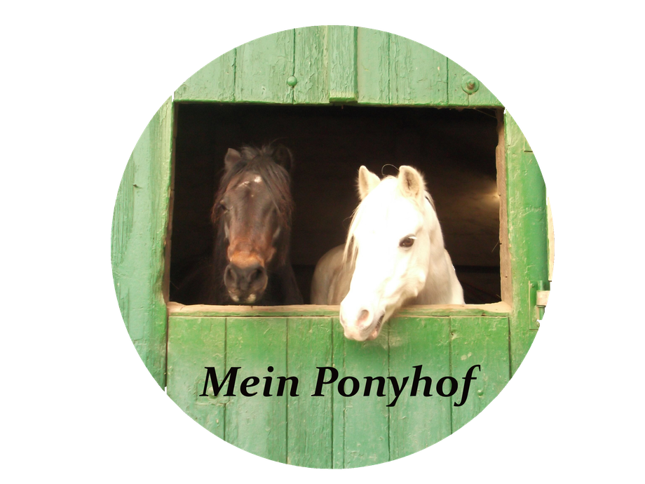 Reiten lernen fuer Kinder joy-with-horses