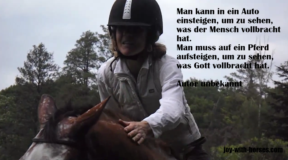 Jahresrückblog 2025 joy with horses Freude mit Pferden