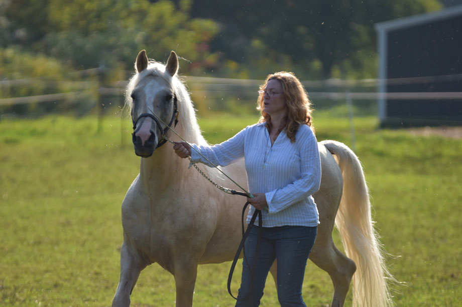 Foundation Horse Breeders
