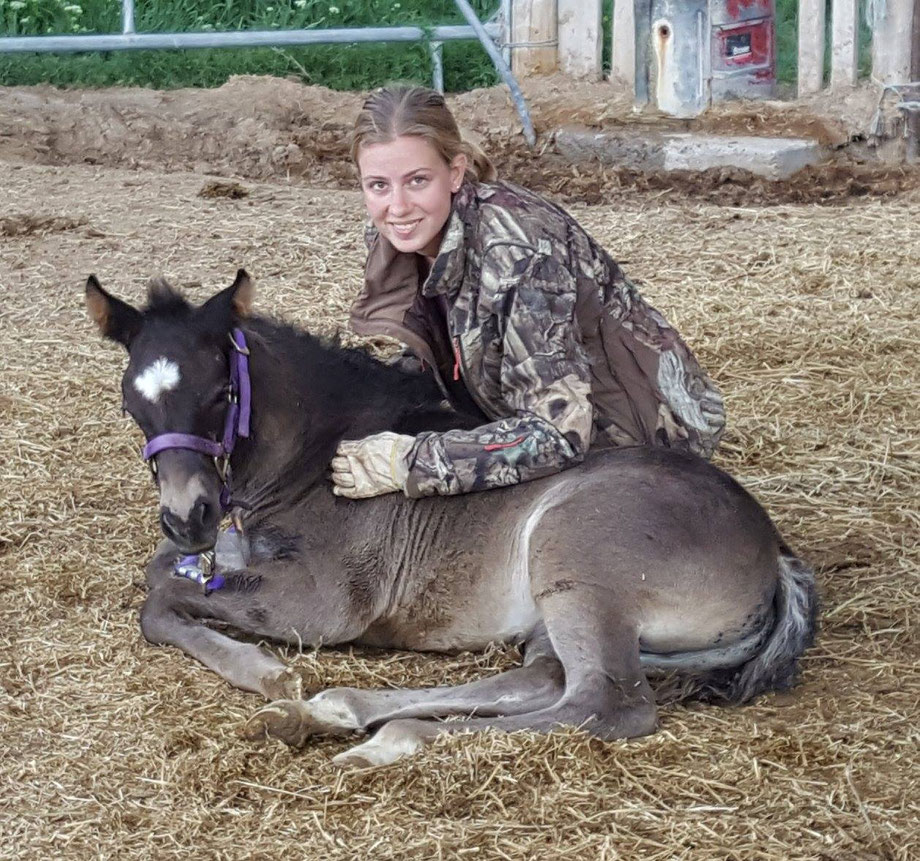 Foundation Horse Breeders