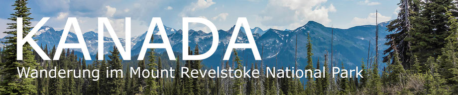 Kanada, im Mount Revelstoke in British Columbia, ein schöner Ort für Wanderungen mit atemberaubender Aussicht, einer wunderbaren Natur mir Bäumen und Bären und trotzdem nicht mit vielen Touristen! 