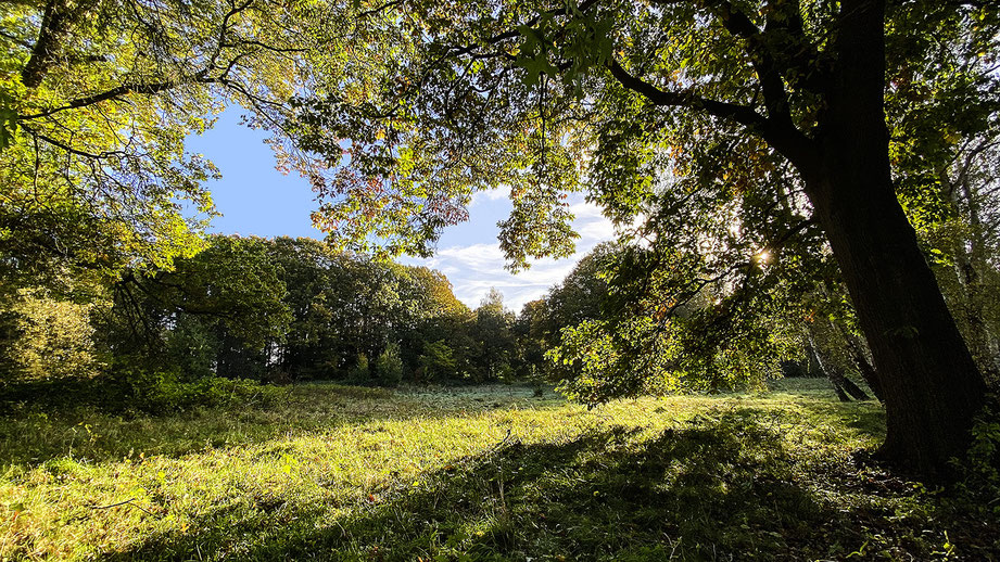 Jagdschloss Malepartus, Events im Park, mit naturbelassenem Park