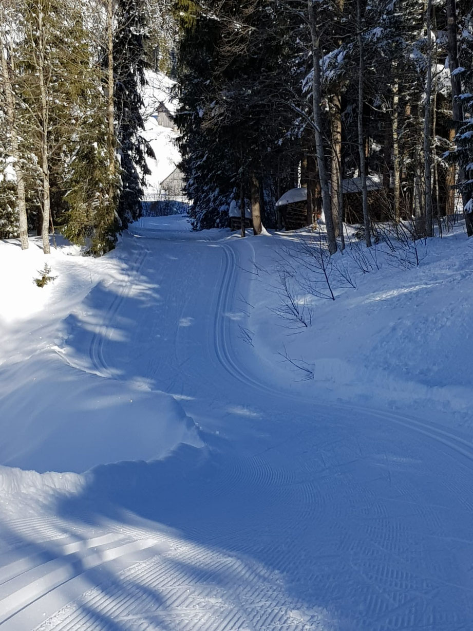 © LANGLAUF ALPTHAL bei Einsiedeln - Langlaufschule Walter Schuler - durch den Etternwald ins Eigeli