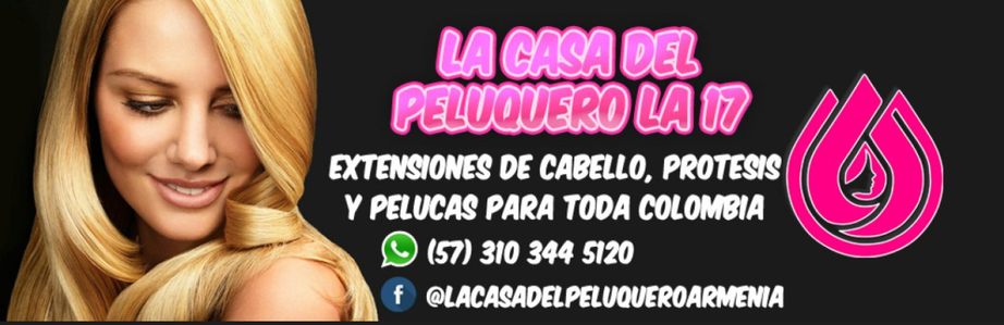 Página web de lacasadelpeluquerola17