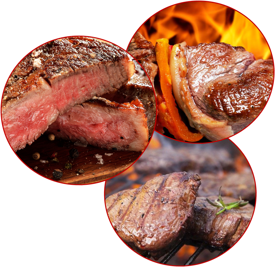 Carne Asada a Domicilio - Parrilladas a Domicilio Las Mas Ricas