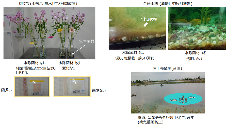 水除菌材　抗菌　抗ウイルス