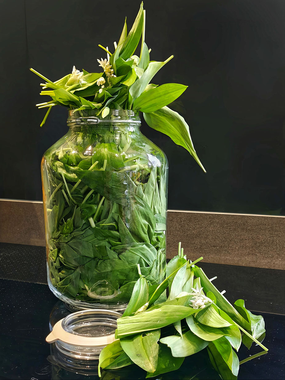 Dans la cuisine de production de L'Abeille Noire, un bocal à fermeture mécanique est remplis de feuilles et fleurs d'ail des ours.