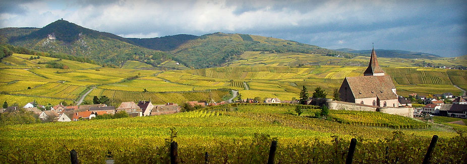Le Grand Cru Rosacker à Hunawihr : un paysage unique qui raconte le lien fort qui unit les hommes, leur village et leur terroir et porte le joli nom de "Champ des Roses".