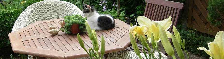 Gartensitzplatz mit Taglilien