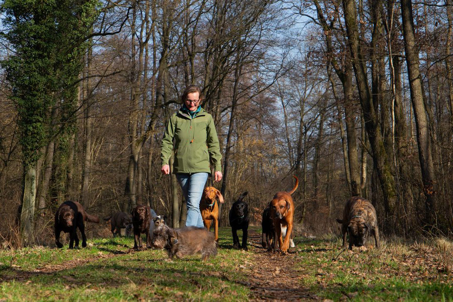 Vivien Buckendahl Dogwalking