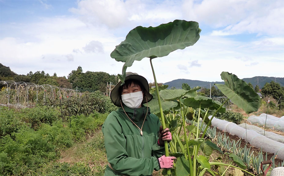 自給のための農業学校＆野菜作り教室・さとやま農学校＠すどう農園