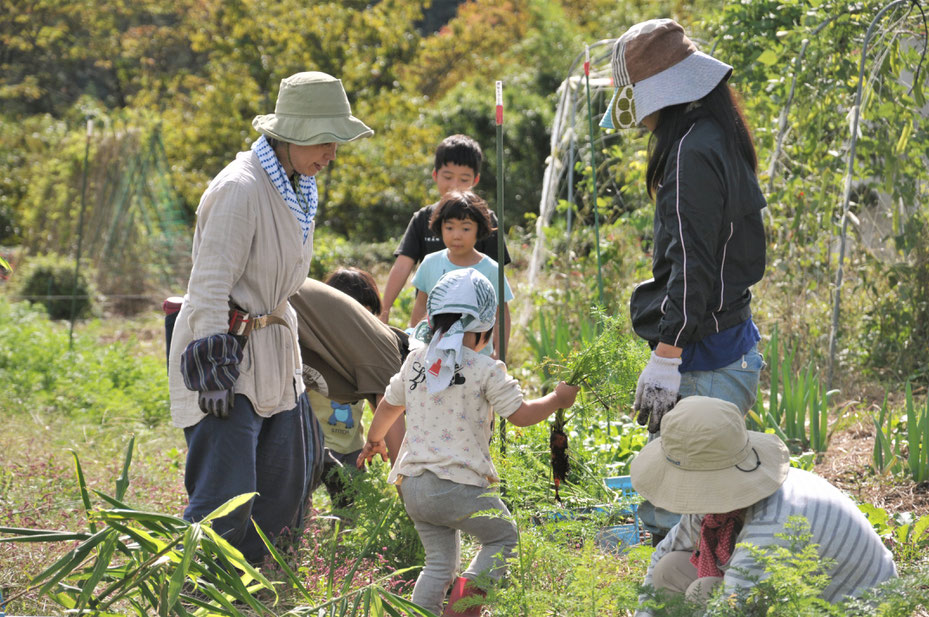 家族で野菜作りから収穫体験まで。種取りもします。さとやま農学校・すどう農園