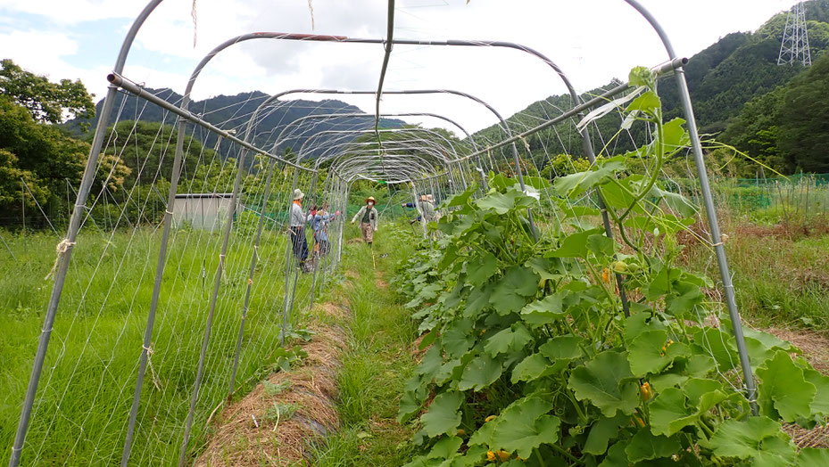 無農薬の野菜づくり教室・さとやま農学校