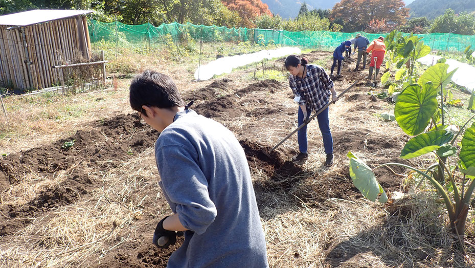 自然農を学ぶ農業体験農場　親子で野菜作り教室