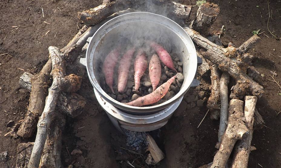 さとやま農学校の卒業生の伊藤さんのサツマイモ「べにはるか」で焼き芋