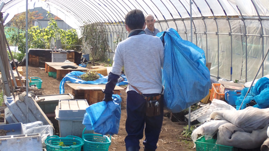 大豆の無農薬栽培を野菜作り教室で学ぶ＠さとやま農学校