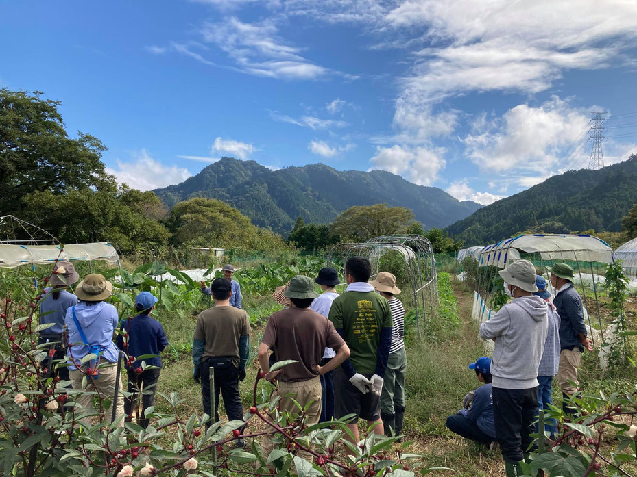 自給のための自然農を学ぶ体験農園＠さとやま農学校・すどう農園