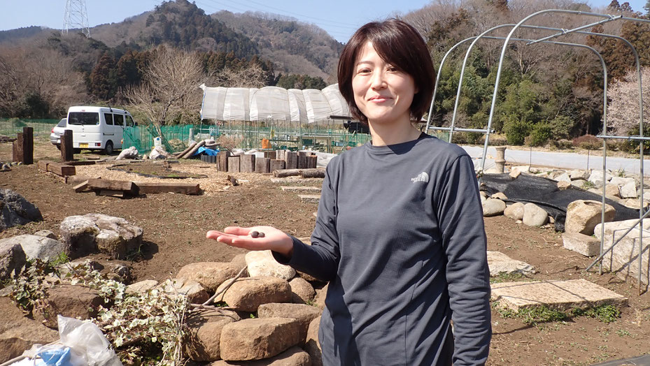 古代ハスの話をしていたら、なんと古代ハスの種を頂けることになりました！驚きの引き寄せ＠さとやま農学校