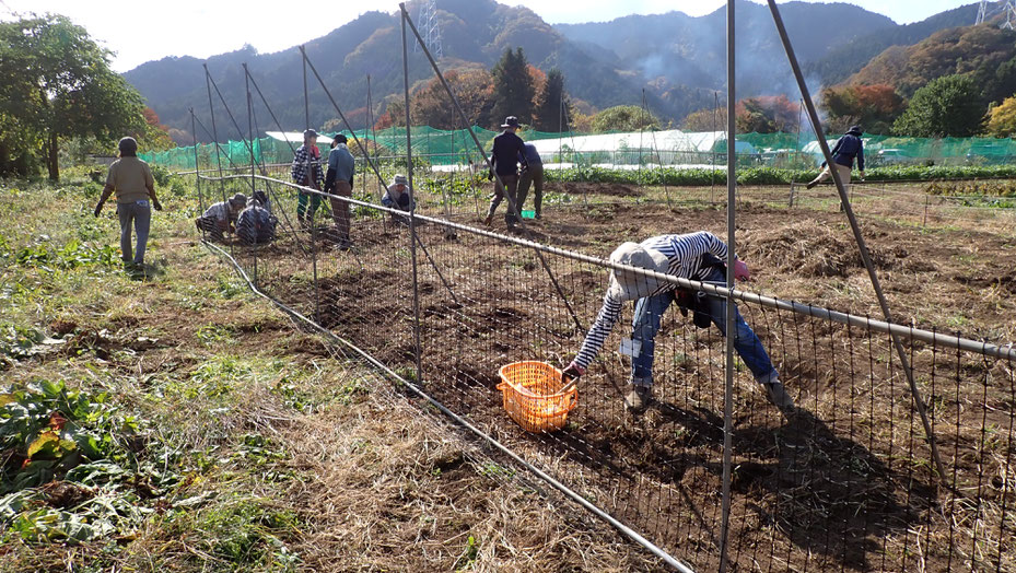 自然農を学ぶ農業体験農場　親子で野菜作り教室