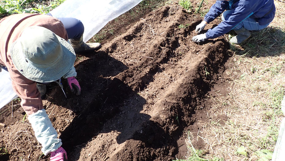 自然農を学ぶ農業体験農場　親子で野菜作り教室