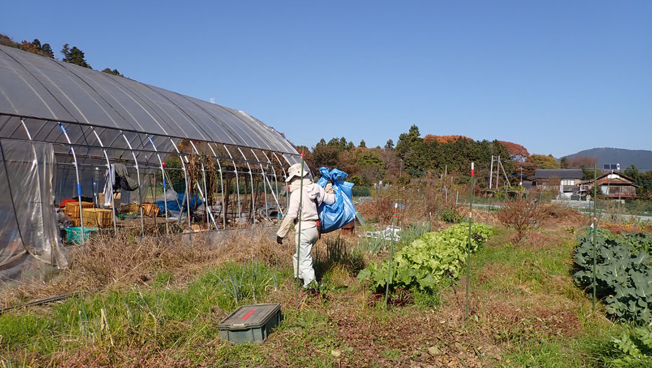 大豆の無農薬栽培を野菜作り教室で学ぶ＠さとやま農学校