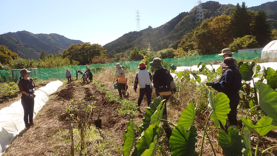 自給のための自然農を学ぶ「さとやま農学校」