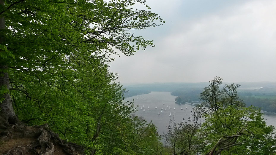 Wanderung von Kupferdreh zur Villa Hügel