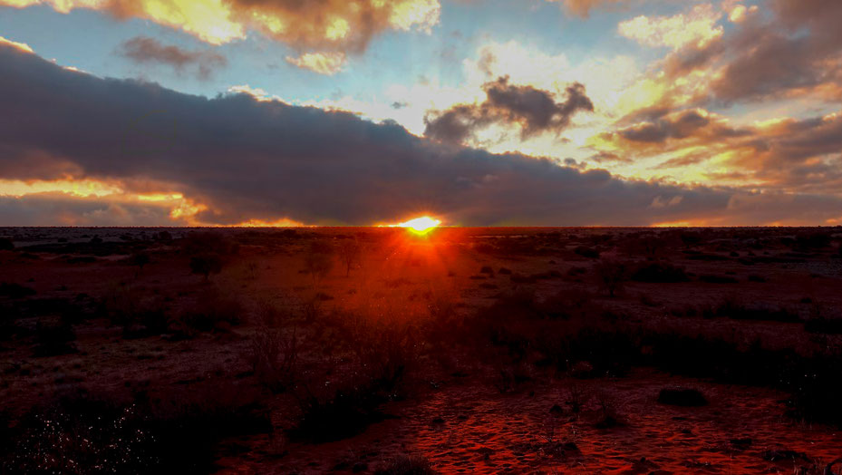 Soleil couchant dans le Kalahari, Namibie, photo non libre de droits