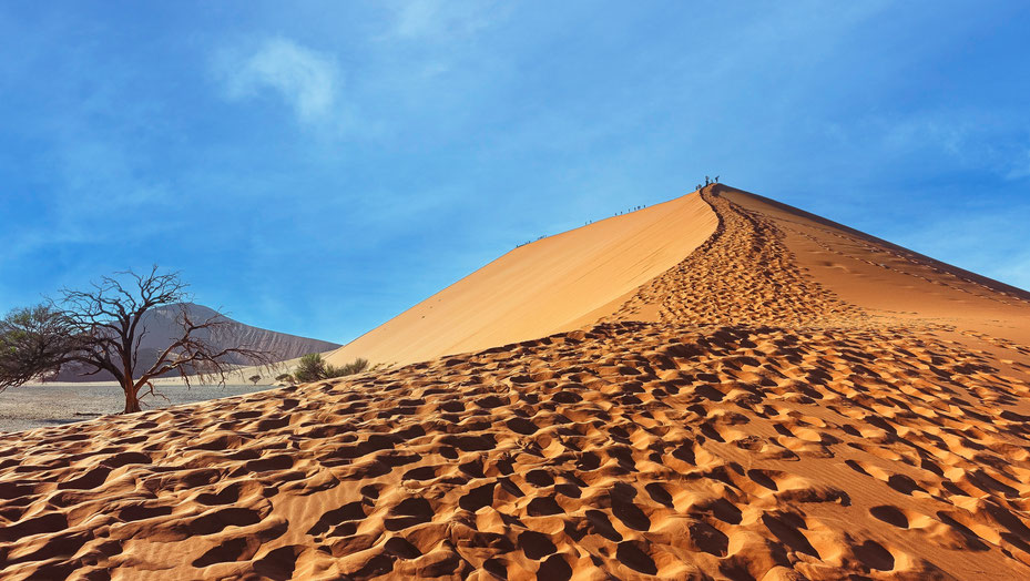 Les pas de l'humanité, Dune 45, photo non libre de droits