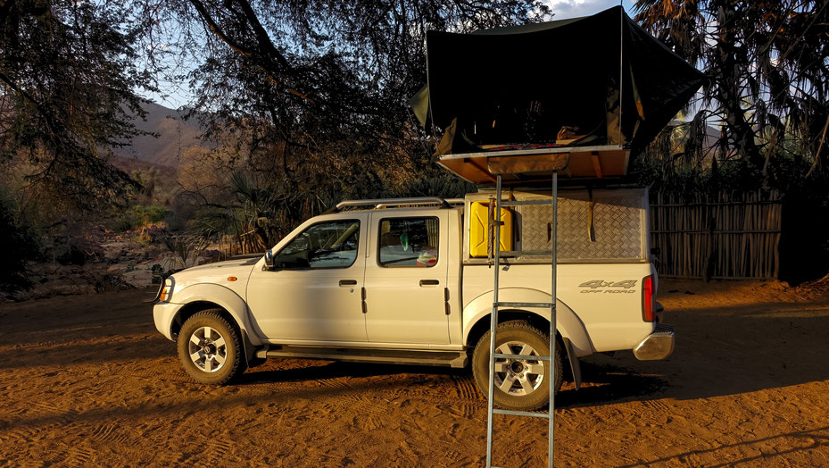 Un fauve en Namibie, photo non libre de droits