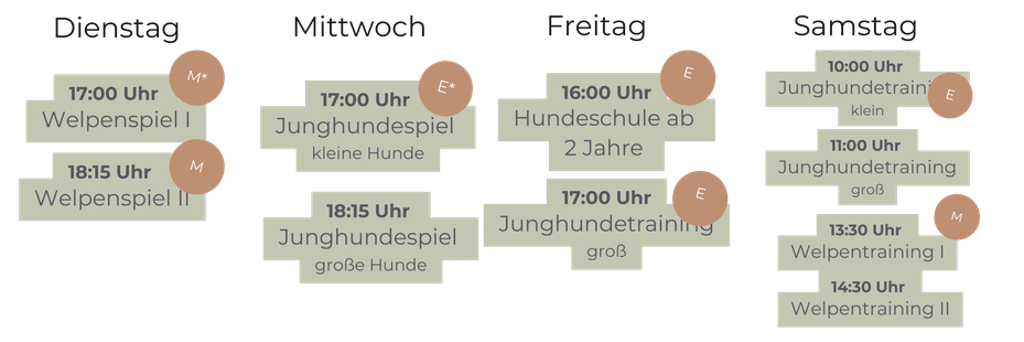 Rückrufkurs, Welpenkurs, Junghundekurs, Welpentraining, Junghundetraining, Rückruftraining, Social Walk, Münster