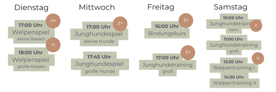 Rückrufkurs, Welpenkurs, Junghundekurs, Welpentraining, Junghundetraining, Rückruftraining, Social Walk, Münster