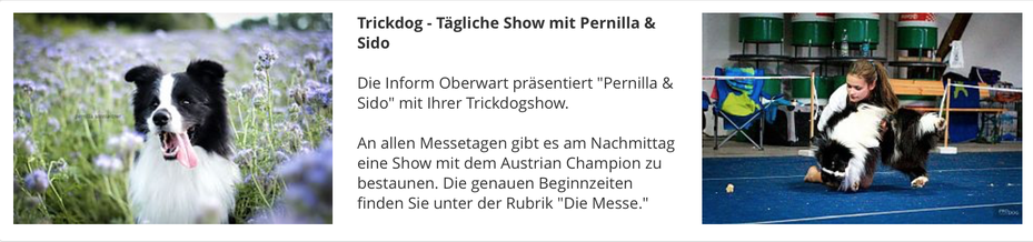 source: www.inform-oberwart.at