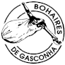 B de Gasconha