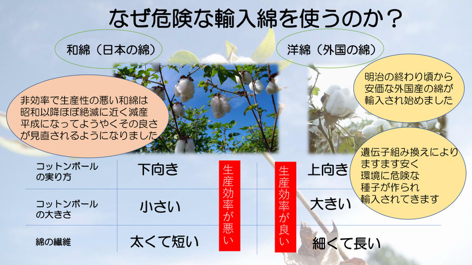 オーガニックコットン100 卸売oem 岐阜県岐阜市マインド松井