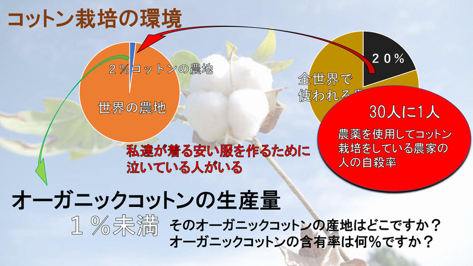 オーガニックコットン100 卸売oem 岐阜県岐阜市マインド松井 オーガニックコットン100 卸売oem 岐阜県岐阜市マインド松井