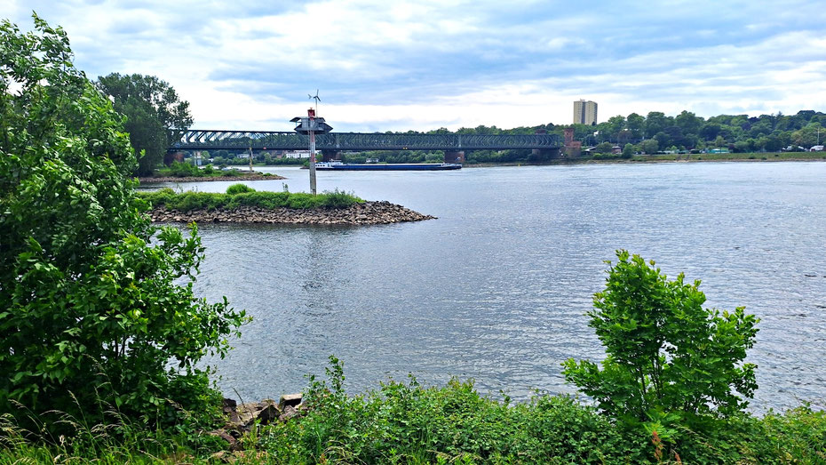 Mündung des Main in den Rhein in Mainz