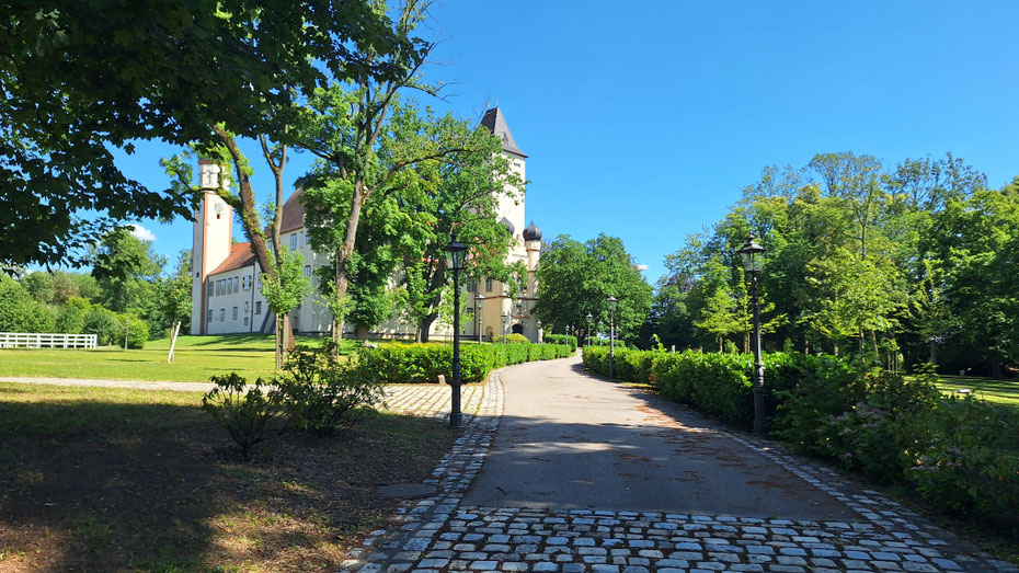 Durch den Zaun geblinzelt: Hofhegnenberg