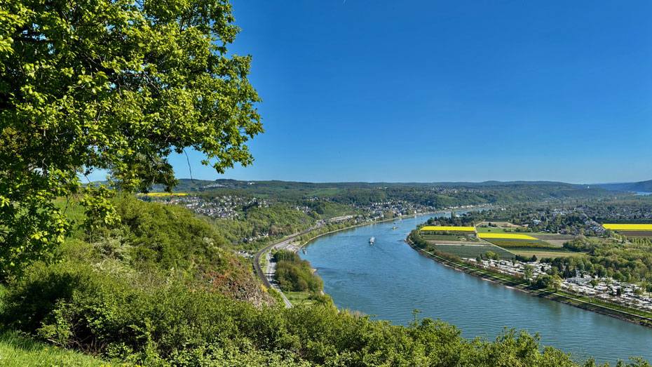 Blick von der Erpeler Ley ins Mittelrheintal / April 2026