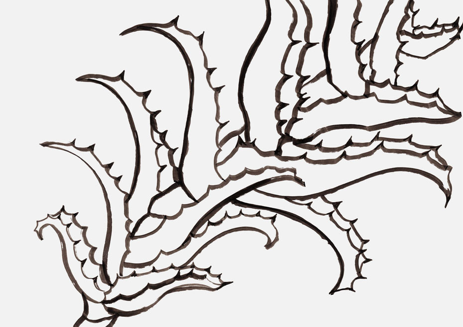 広島のイラストレーターが描く植物のイラスト