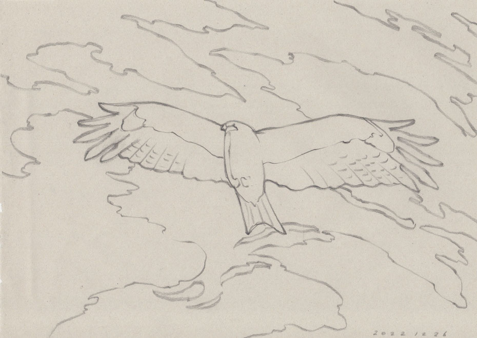 芸術家ミヤタタカシが描く鳥のスケッチ