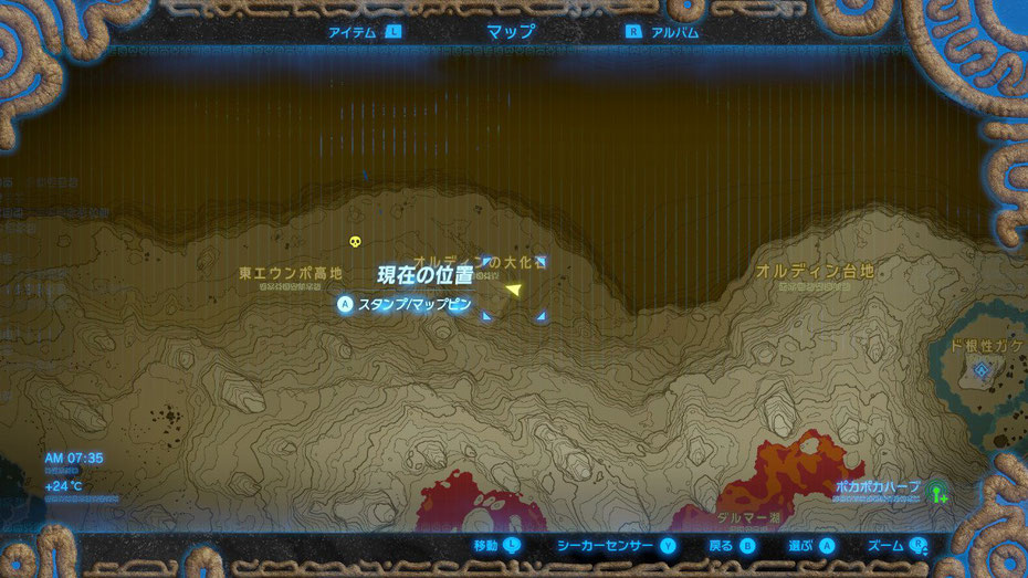 オルディンの大化石