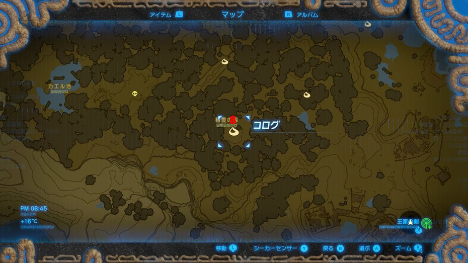 精霊の森