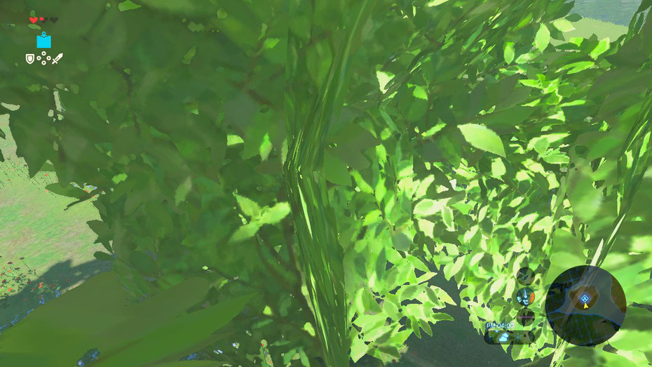 木の葉