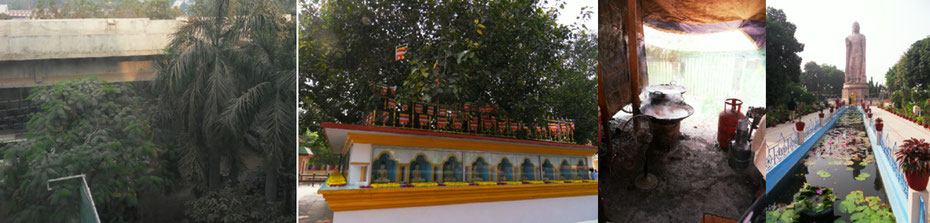 Sarnath: Rauch- und Staubablagerungen, ein gefangener Bodhibaum. Masala-Chai-Zubereitung, Buddha-Statue