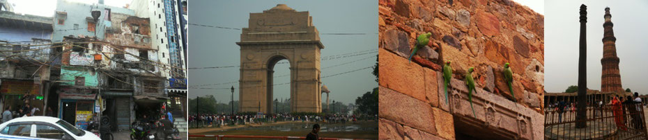 Delhi: Kabelkunst am Diebesmarkt, Indisches Tor, Papageienfamilie, Quwwat-ul-Islam mit eiserner Säule