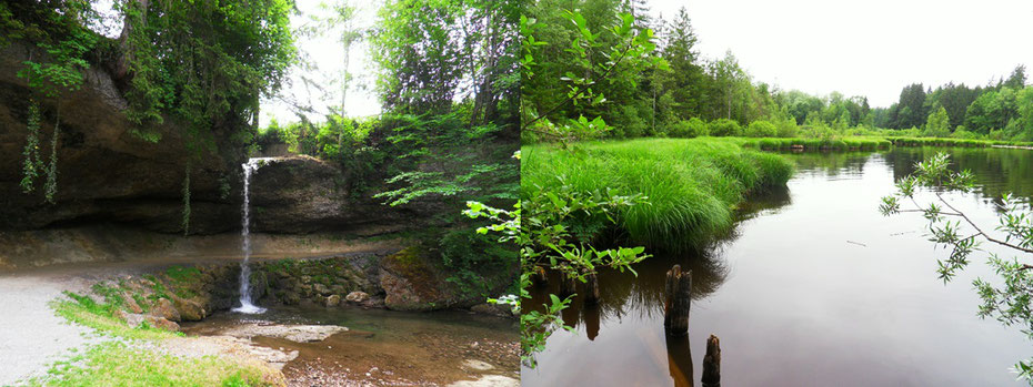 Ein Scheidegger Wasserfall, Waldmoorsee