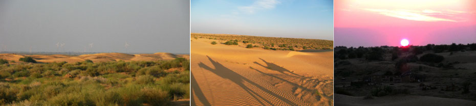 Bei Jaisalmer: Wüste Thar