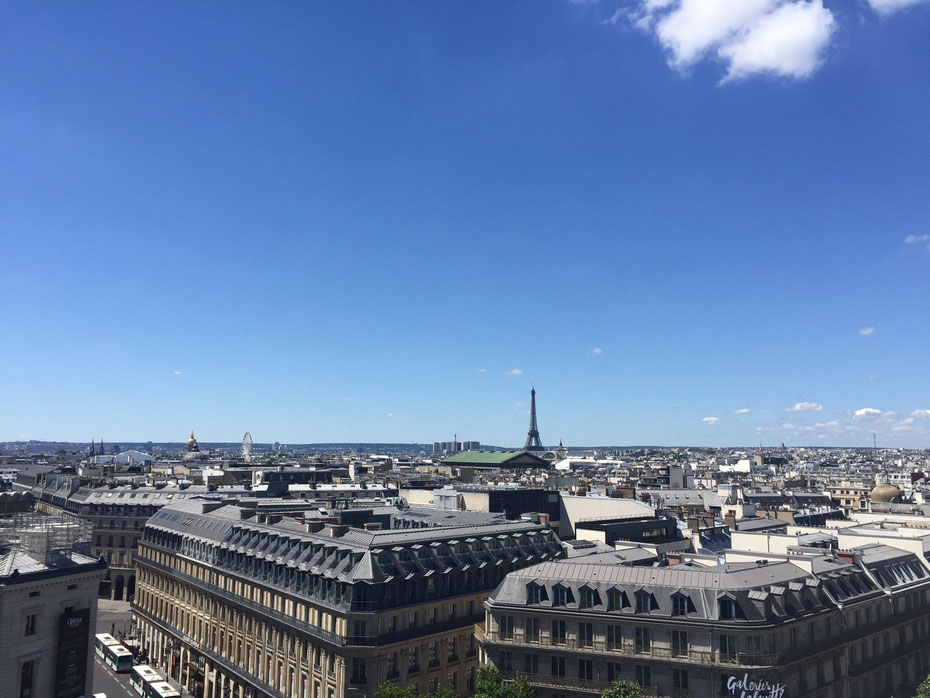 View from terrace of Galeries Lafayette