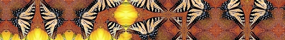 Kunstwerk Schmetterlinge, sich spiegelnd, braun - beige - gelb